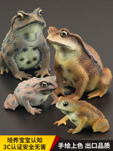 Solid Childrens Realistic Animal Toy Model Frog Toad Shrimp Amphibian Cognitive Gift Display Simulation Animal Doll Toy