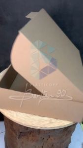 (10 pcs) KARDUS 35X25X8 cm / KARDUS PACKING 35X25 CM / BOX DIE CUT / BOX PIZZA 35X25X8 CM