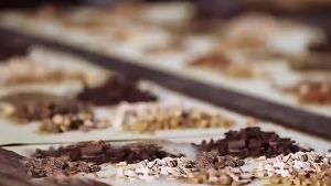 50pcs Moxibustion patch Pain Relief Original Herbal Ginger Patch for Knee Back Pain Reliever