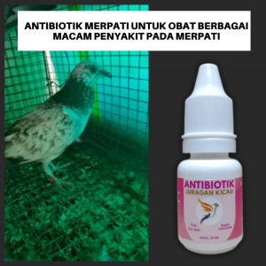 Antibiotik Merpati Untuk Obat Berbagai Macam Penyakit Pada Merpati