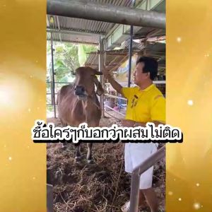 เพิ่มอัตราการแลกเนื้อ สัตว์กินเก่ง โตไว เร่งการสืบพันธุ์ ปลอดภัยต่อผู้บริโภค อาหารผสมสำหรับสัตว์ ฟาสท์ไคโตซานฝาเหลือง2ขวด ขุนบำรุง ป้องกันลัมปีสกิน