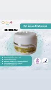 ECER DAY CREAM / KRIM SIANG WHITENING PLATINUM ORLIN BEAUTY/KULIT NORMAL/ORLIN BEAUTY