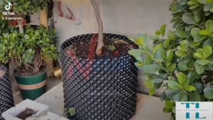 [2m Loại dày] Bầu nhựa ươm cây tặng kèm ốc vít - Bầu nhựa trồng cây dài 2m Cao 20cm đến 90cm Độ dày 0.7mm