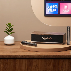 kinyo | Home Use Smart Karaoke System with Wireless Microphone