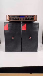 FT STAR FT-JB10 10inch 300W Professional Karaoke Speaker System (1 Pcs)