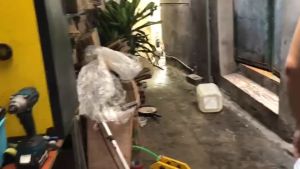 Máy thổi lá cây - Thổi bụi công nghiệp công suất 3800W dùng điện Makute PB008