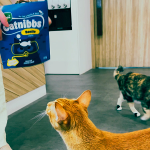 Happi Skippi Catnibbs Bonito Cat Treats 60g