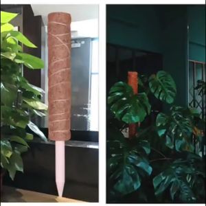 Trụ xơ dừa  trụ có đầu cắm có thể nối dài ! Trụ leo cho cây trầu bà  trang trí nhà cửa ! Loại dài 40cm !