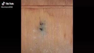 Thớt INOX 304 diệt khuẩn thời thượng - Thớt Cường Lực lau chùi và vệ sinh Dễ Dàng Rã Đông Nhanh Không Xước Dăm Không