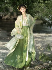 Original Song Dynasty Womens Hanfu Top Long Sleeve Embroidered Waist-Length Skirt for Spring/Summer Polyester Material