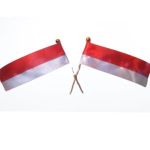 BENDERA PALESTIN INDONESIA SILANG KECIL
