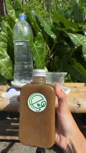 เอ็นกรีน น้ำหมักปลา (สูตรเข้มข้น) เร่งโต ใบเขียว ฟื้นดิน ปุ๋ยธรรมชาติ ปลอดภัย l Engreen