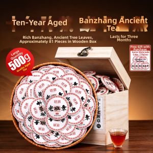XINYIHAO | Aged Ten Years Above Ripe Pu-erh Tea