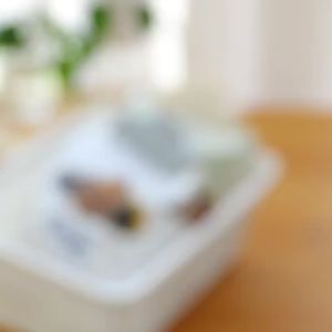 Penjepit Makanan Snack Jumbo Plastik/ Klip Kemasan Cemilan Plastik/ Sealing Bag Clips Sealer Snack