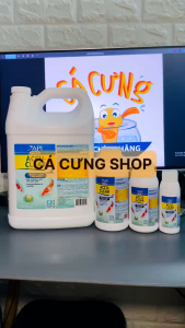 ACCU CLEAR POND API 500ml - Dung Dịch Làm Trong Nước Cấp Tốc cho hồ cá - Khử Bụi Khử Đục (HÀNG CTY)