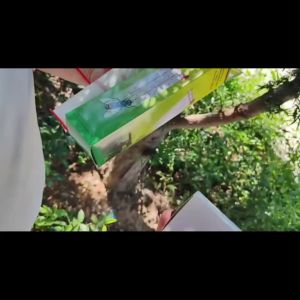 ✨Super strong viscosity✨flies trap sticky 4m×25cm fruit fly trap