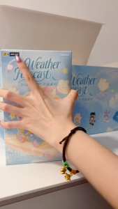 [Ready Stock] 6 PCS Nommi Glutinous Rice Weather Forecast Plush Blind Box