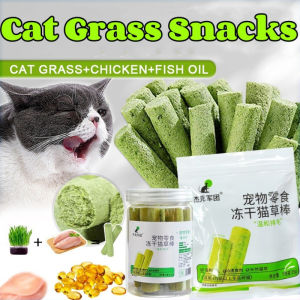 Cat Grass Snacks Freeze-dried Stick Promote The Discharge of Hairballs\\n\\n Cat Grass Snacks: A Natural Solution for Hairball Discharge\\n\\nCats are known for their cleanliness and grooming habits, which often lead to the ingestion of hair. This hair can accumulate in their digestive system, causing indigestion and discomfort. Cat grass sticks, such as our freeze-dried sticks, offer a natural solution to promote the discharge of hairballs.\\n\\n How Cat Grass Sticks Promote Intestinal Peristalsis\\n\\nCat grass sticks are rich in fiber, which helps to stimulate intestinal peristalsis. This process involves the contraction and relaxation of muscles in the digestive tract, which helps to move food and hair through the system. By promoting intestinal peristalsis, cat grass sticks help to prevent hairball formation and ensure that hair is expelled from the body.\\n\\n Teeth Grinding & Oral Health Benefits\\n\\nThe special granular design of cat grass sticks provides an additional benefit: teeth grinding. As cats chew on these sticks, they help to grind down their teeth, promoting oral health. The light and crisp taste of cat grass sticks also helps to clean teeth and gums, ensuring a healthy mouth.\\n\\n Pure Natural Ingredients for Nutritious Snacks\\n\\nOur cat grass sticks are made with high-quality ingredients, including chicken, catgrass, salmon puree, fish oil, chicken liver, chicken heart, and egg yolk powder. We do not add any starch, flavor, food attractor, or color, ensuring that the snack is both nutritious and healthy. These natural ingredients provide a variety of nutrients that are essential for your cat's overall well-being.\\n\\n Freeze-dried Technology: A Superior Method for Cat Treats\\n\\nWe use advanced freeze-drying technology to make our cat grass sticks. This process involves vacuum sterilization, which removes moisture from the ingredients while preserving their nutritional value. Freeze-drying has several benefits, including:\\n\\n- Maintaining nutrient integrity\\n- Extending shelf life\\n- Ensuring consistent quality\\n\\n Freeze-drying Process & Benefits\\n\\nThe freeze-drying process begins by freezing the ingredients at extremely low temperatures. Once frozen, the ice is removed through a process called sublimation, which involves converting solid ice directly into vapor. This process removes moisture from the ingredients without damaging their nutritional value.\\n\\n Maintaining Nutrient Integrity\\n\\nOne of the primary benefits of freeze-drying is its ability to maintain nutrient integrity. Unlike other drying methods, freeze-drying does not involve heat, which can cause nutrients to break down. By preserving the nutritional value of our cat grass sticks, we ensure that your cat receives all the essential nutrients they need to stay healthy.\\n\\n Choosing the Right Cat Grass Snack\\n\\nSelecting the right cat grass snack can be challenging, especially with so many options available on the market. Here are some key considerations to help you choose the best cat grass snack for your feline friend:\\n\\n- Look for natural ingredients: Choose snacks made with pure, natural ingredients that do not contain any additives or preservatives.\\n- Check for digestive aid properties: Look for snacks that promote intestinal peristalsis and help to expel hairballs.\\n- Consider oral health benefits: Opt for snacks that offer teeth grinding benefits and help to clean teeth and gums.\\n\\n Comparing Freeze-dried Hairball Relief & Other Treats\\n\\nWhen comparing freeze-dried hairball relief treats to other cat treats, consider the following factors:\\n\\n- Nutritional value: Freeze-dried treats tend to have higher nutritional value due to their ability to maintain nutrient integrity.\\n- Shelf life: Freeze-dried treats have a longer shelf life compared to other treats that may contain preservatives.\\n- Consistency: Freeze-dried treats offer consistent quality, ensuring that your cat receives the same level of nutrition with every snack.\\n\\n How to Use Cat Grass Snacks Freeze-dried Stick\\n\\nProper feeding guidelines are essential to ensure that your cat gets the most out of their cat grass snacks. Follow these steps to integrate freeze-dried sticks into your cat's diet:\\n\\n1. Start with small portions: Begin by offering your cat a small portion of the freeze-dried stick to see how they react.\\n2. Monitor your cat's response: Watch your cat closely for any signs of discomfort or allergic reactions.\\n3. Gradually increase the portion size: As your cat becomes accustomed to the freeze-dried stick, gradually increase the portion size.\\n4. Integrate into your cat's diet: Offer freeze-dried sticks as a treat or integrate them into your cat's regular diet to promote hairball discharge and oral health.\\n\\nBy following these guidelines, you can ensure that your cat gets the most out of their cat grass snacks and enjoys a healthier, happier life.\n}