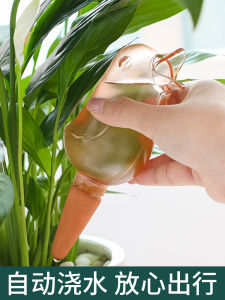 Automatic Bird Dropping Watering Device: A Specialized Plant Pot Irrigation Solution