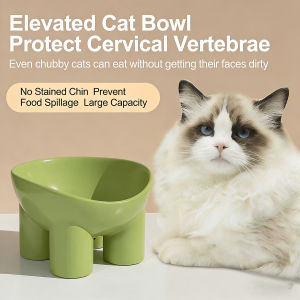 15° Tilted Elevated Cat Bowl Neck Protection Pet Feeder Easy to Clean Anti-Spill Cat Food Bowl Pet Food Bowl For 350ml