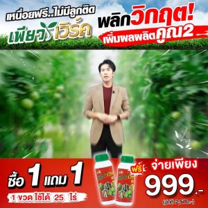 เพียวเวิร์ค เร่งดอก เร่งดก เพิ่มความหวาน ปุ๋ยทุเรียน ปุ๋ยผลไม้ ระเบิดหัวมัน เร่งแป้ง  kaideeshop888