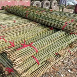 Decorative Corrosion-Resistant Bamboo Sticks Vegetable Garden Cucumber Bean Pole Grape Arbor Vegetable Rack Flag Pole Bamboo