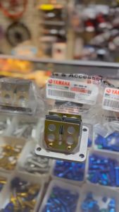 Memahami Membran Reed Valve RXZ & Aksesoris Mesin