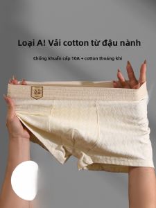 MiiOW | Quần lót nam Catman Cotton nguyên chất 2024 Quần đùi góc phẳng kháng khuẩn mới cho thanh thiếu niên cạp vừa màu trơn