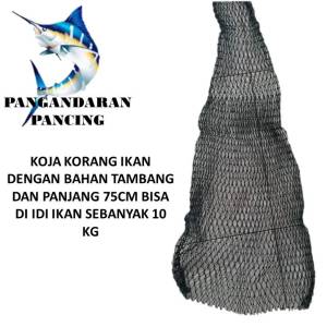 Koja ikan korang ikan koja pangrod tempat ikan korang tambang koja tambang
