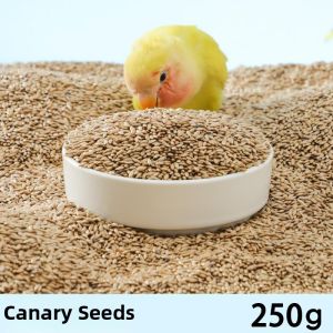 DIJIE | Parrot Food for Various Birds White-tip Canaries
