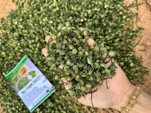 [✅Hàng Cao Cấp] Nụ Tam Thất Bao Tử Sapa Giúp Ngủ Ngon Mát Gan Giải Độc Tốt Cho Tim Mạch