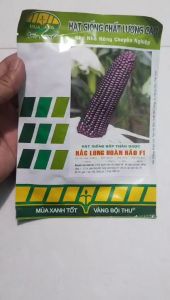 Hạt giống ngô tím thảo dược Hắc Long Hoàn Hảo F1 gói 50gam Mùa Vàng dẻo ngọt