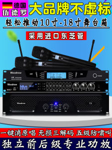 Woodrow T5 High Power Pure Amp Stage Performance Karaoke Pre-Effect Device Family KTV Audio Video HiFi Speaker Amplifier