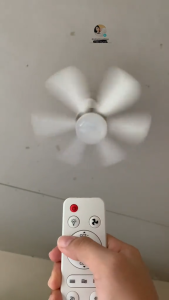 JUMBO E27 LED light ceiling fan with light and remote control 30W/40W bulb dimmable 6 fan blades