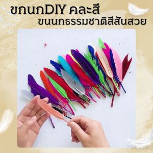 ขนนกDIY สำหรับงานตกแต่งชุดแฟนซี งานDIYต่างๆ มีให้เลือก 2แบบ 7สี แบบคละสี จำหน่ายเป็นแพ็ค มี20ชิ้น ไซส์ 12 cm. สิ่งประดิษฐ์ง่ายๆ จากขนนกย้อมสี พร้อมส่ง