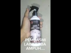 Obat Pembasmi Laba Laba Rumah