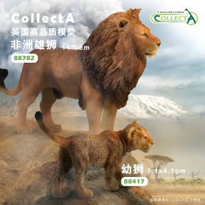 African Lion Mother Lion Cub CollectA Animal Model Toy Realistic Lion Figurine for Children Educational Play Durable Plastic