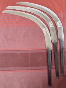 EGREK SAWIT KINGOYA PUTIH MALAYSIA