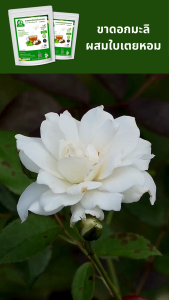 ขาดอกมะลิผสมใบเตยหอม ตราไร่กฤติยา (Jasmine Pandan Blended Tea)