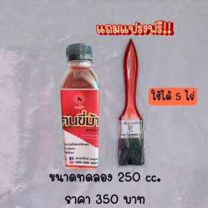 คนขี่ม้าพาราไวท์ สิ้นค้าของแท้ ปุ๋ยทาหน้ายาง ขนาด 250 cc. #ฟรีค่าส่ง #พาราไวท์ (ไม่แท้ยินดีคืนเงิน)