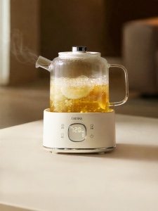 Multifunctional Health Tea Kettle
