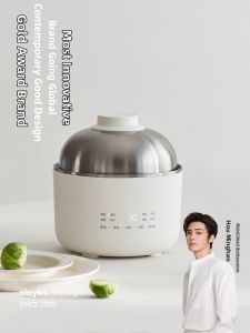 Olayks | Stainless Steel Multifunctional Electric Pot