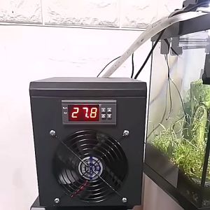 Ready✅60L Small Fish Tank Cooler Cooling Chiller Breeding Semiconductor Fish Shrimp Temperature Control Aquarium Machine