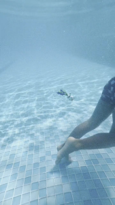 POOL TOYS - Catch the Turtle Light up Dive Game (Purple)