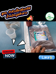 ปุ๋ยเร่งดอก มูลค้างคาวแท้ 100% 🦇 Organic Bat Guano (มูลเบา-ไม่ผสม) (P) High ติดดอกเยอะ