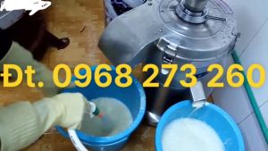 Máy Xay Vắt Tách Bã Đậu Nành Liên Hoàn INOX (10-15kg/H)