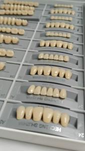 140Pcs/Box Dental Materials Synthetic Polymer Resin Denture Dental Teaching Model