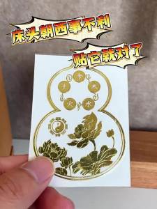 HETANGYUESHE | Invisible West-facing Feng Shui Item