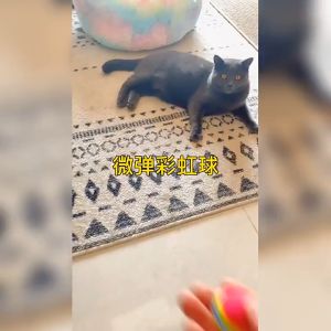 Đồ Chơi Bóng Xốp 7 Màu Cho Chó Mèo