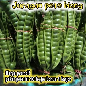PROMO PETE MURAH HARGA PERIKAT ISI 10 LONJOR GRATIS BONUS 1 LONJOR/PETE TUA SUPER/PETE SEGAR PILIHAN/PETAI TUA/JURAGAN PETE BIANG/PETE MURAH/PETE JAWA/PETE TUA MURAH/PETE TUA SUPER/PETAI/PETE/SAYUR SEGAR/SAYURAN SEGAR/PETAI MURAH/PETAI SEGAR/PETE KUPAS